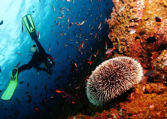 Corfu Stinados Ermones